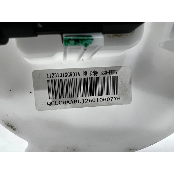 Bomba De Combustivel Gwm Haval H6 2025